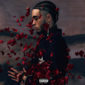 中心策划小猴导航
