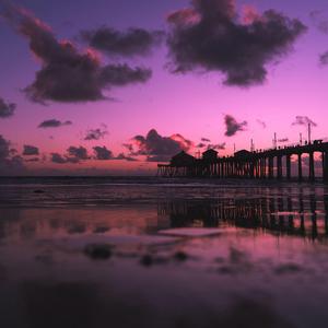 中心策划小猴导航
