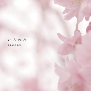 中心策划小猴导航
